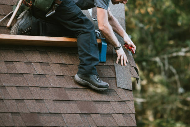 Best Roof Gutter Cleaning  in Alamosa East, CO